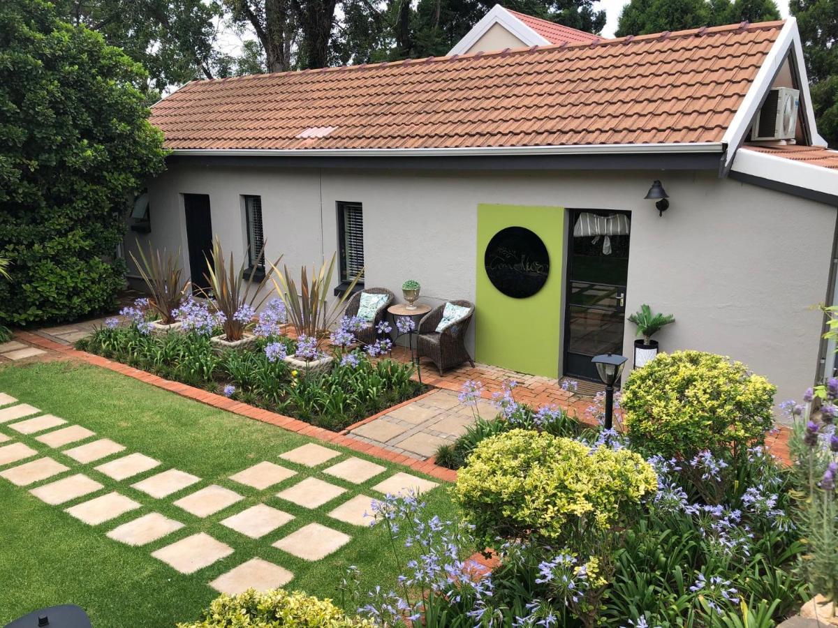 Apartament Timeless Bloemfontein Zewnętrze zdjęcie